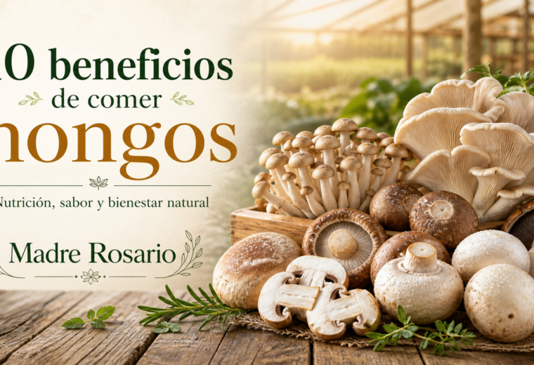 10 beneficios de comer hongos para una alimentación más saludable